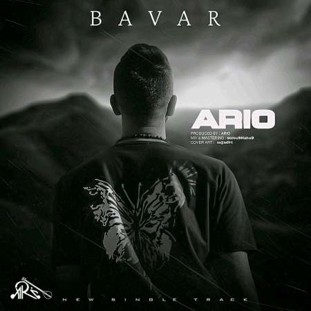 Ario – Bavar